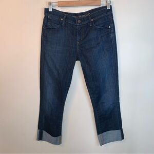 Citizens of Humanity Dani Cropped Straight Leg Jean 27